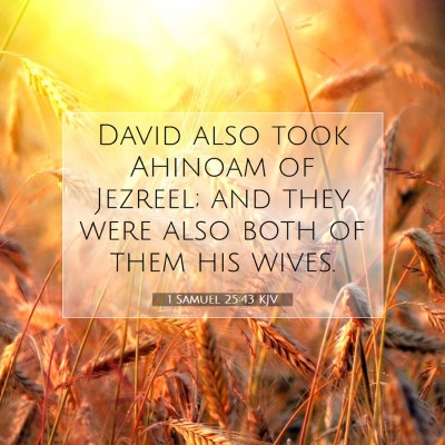 Picture 07 - 1 Samuel 25:43 KJV - David also took Ahinoam of Jezreel; and they were - Bible Verse Picture