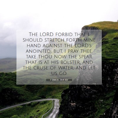 Picture 07 - 1 Samuel 26:11 KJV - The LORD forbid that I should stretch forth mine - Bible Verse Picture