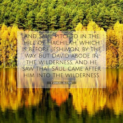Picture 07 - 1 Samuel 26:3 KJV - And Saul pitched in the hill of Hachilah, which - Bible Verse Picture