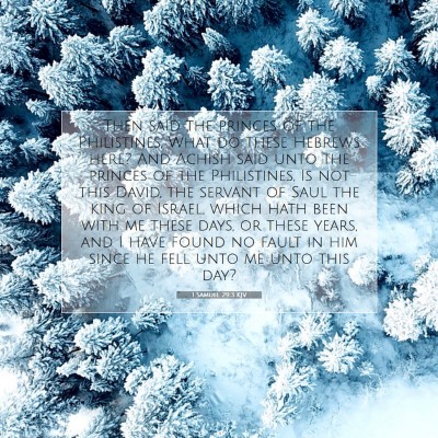Picture 07 - 1 Samuel 29:3 KJV - Then said the princes of the Philistines, What do - Bible Verse Picture