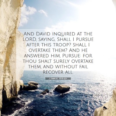 Picture 07 - 1 Samuel 30:8 KJV - And David inquired at the LORD, saying, Shall I - Bible Verse Picture