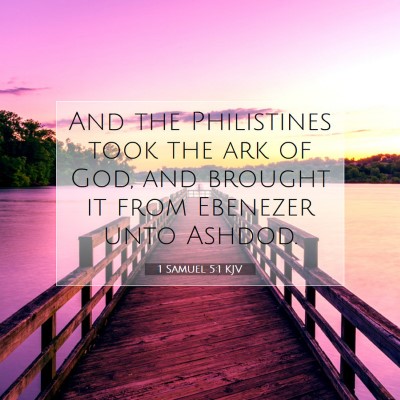 Picture 07 - 1 Samuel 5:1 KJV - And the Philistines took the ark of God, and - Bible Verse Picture