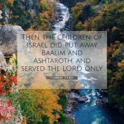 Picture 07 - 1 Samuel 7:4 KJV - Then the children of Israel did put away Baalim - Bible Verse Picture