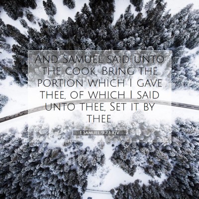 Picture 07 - 1 Samuel 9:23 KJV - And Samuel said unto the cook, Bring the portion - Bible Verse Picture