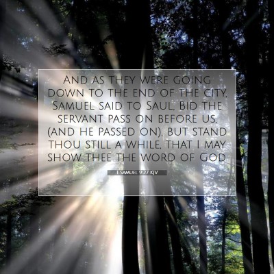 Picture 07 - 1 Samuel 9:27 KJV - And as they were going down to the end of the - Bible Verse Picture