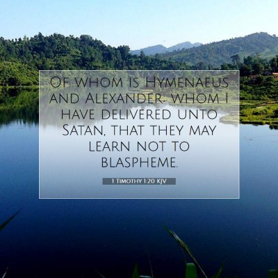 Picture 07 - 1 Timothy 1:20 KJV - Of whom is Hymenaeus and Alexander; whom I have - Bible Verse Picture