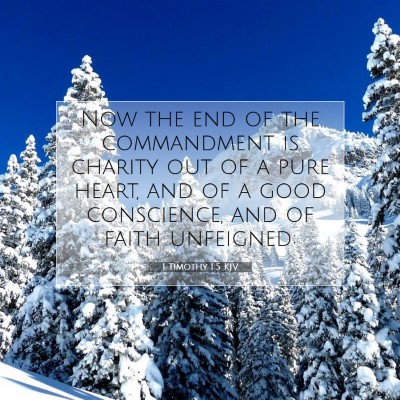 Picture 07 - 1 Timothy 1:5 KJV - Now the end of the commandment is charity out of - Bible Verse Picture
