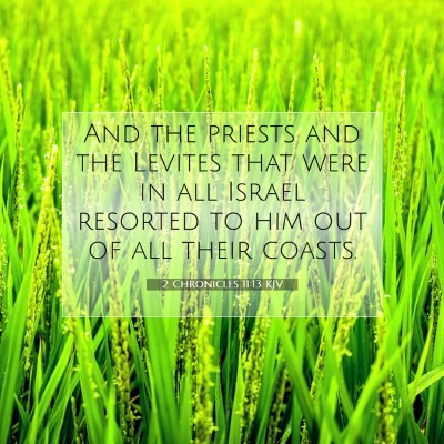 Picture 07 - 2 Chronicles 11:13 KJV - And the priests and the Levites that were in all - Bible Verse Picture