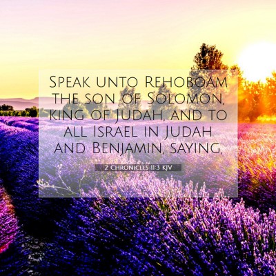 Picture 07 - 2 Chronicles 11:3 KJV - Speak unto Rehoboam the son of Solomon, king of - Bible Verse Picture