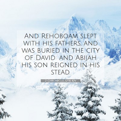 Picture 07 - 2 Chronicles 12:16 KJV - And Rehoboam slept with his fathers, and was - Bible Verse Picture