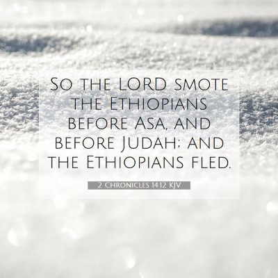 Picture 07 - 2 Chronicles 14:12 KJV - So the LORD smote the Ethiopians before Asa, and - Bible Verse Picture