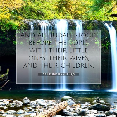 Picture 07 - 2 Chronicles 20:13 KJV - And all Judah stood before the LORD, with their - Bible Verse Picture