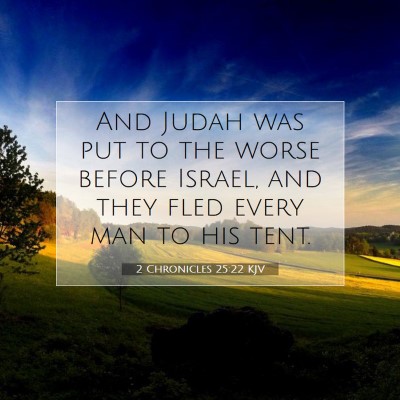 Picture 07 - 2 Chronicles 25:22 KJV - And Judah was put to the worse before Israel, and - Bible Verse Picture