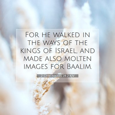 Picture 07 - 2 Chronicles 28:2 KJV - For he walked in the ways of the kings of Israel, - Bible Verse Picture