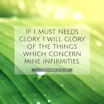 Picture 07 - 2 Corinthians 11:30 KJV - If I must needs glory, I will glory of the things - Bible Verse Picture