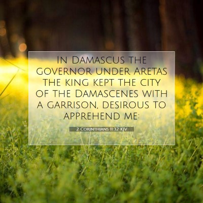 Picture 07 - 2 Corinthians 11:32 KJV - In Damascus the governor under Aretas the king - Bible Verse Picture