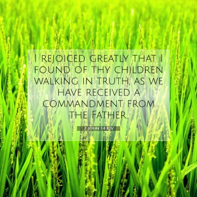 Picture 07 - 2 John 1:4 KJV - I rejoiced greatly that I found of thy children - Bible Verse Picture