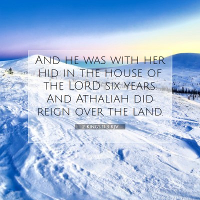 Picture 07 - 2 Kings 11:3 KJV - And he was with her hid in the house of the LORD - Bible Verse Picture