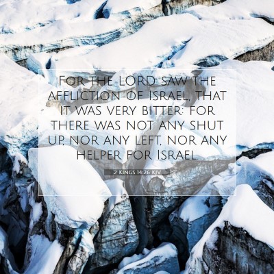 Picture 07 - 2 Kings 14:26 KJV - For the LORD saw the affliction of Israel, that - Bible Verse Picture