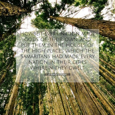 Picture 07 - 2 Kings 17:29 KJV - Howbeit every nation made gods of their own, and - Bible Verse Picture