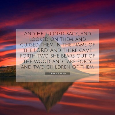 Picture 07 - 2 Kings 2:24 KJV - And he turned back, and looked on them, and - Bible Verse Picture