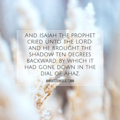 Picture 07 - 2 Kings 20:11 KJV - And Isaiah the prophet cried unto the LORD: and - Bible Verse Picture