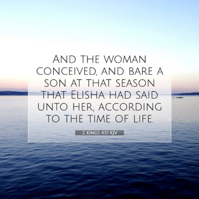 Picture 07 - 2 Kings 4:17 KJV - And the woman conceived, and bare a son at that - Bible Verse Picture