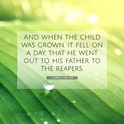 Picture 07 - 2 Kings 4:18 KJV - And when the child was grown, it fell on a day, - Bible Verse Picture