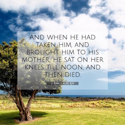 Picture 07 - 2 Kings 4:20 KJV - And when he had taken him, and brought him to his - Bible Verse Picture