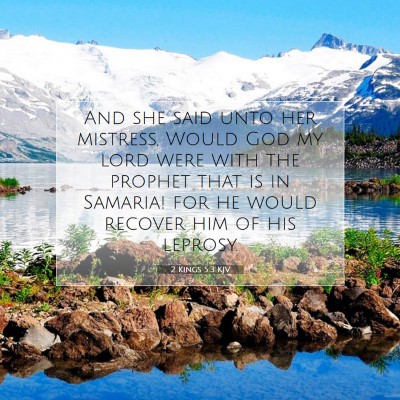 Picture 07 - 2 Kings 5:3 KJV - And she said unto her mistress, Would God my lord - Bible Verse Picture