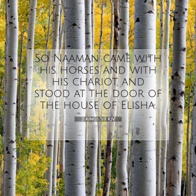 Picture 07 - 2 Kings 5:9 KJV - So Naaman came with his horses and with his - Bible Verse Picture