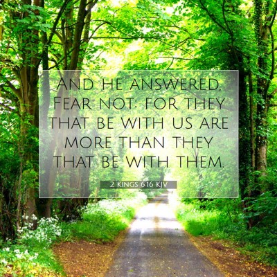 Picture 07 - 2 Kings 6:16 KJV - And he answered, Fear not: for they that be with - Bible Verse Picture