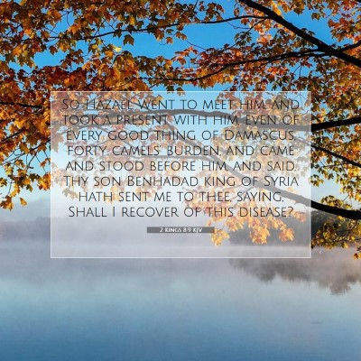 Picture 07 - 2 Kings 8:9 KJV - So Hazael went to meet him, and took a present - Bible Verse Picture