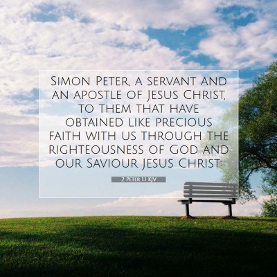 Picture 07 - 2 Peter 1:1 KJV - Simon Peter, a servant and an apostle of Jesus - Bible Verse Picture