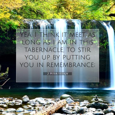 Picture 07 - 2 Peter 1:13 KJV - Yea, I think it meet, as long as I am in this - Bible Verse Picture