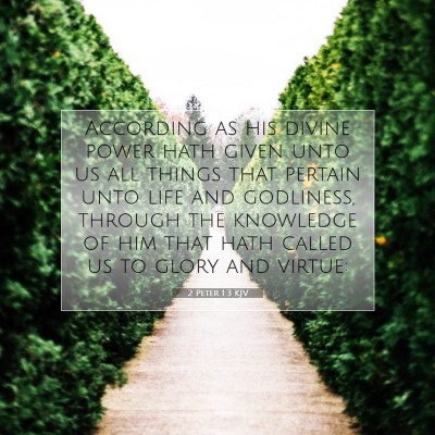 Picture 07 - 2 Peter 1:3 KJV - According as his divine power hath given unto us - Bible Verse Picture