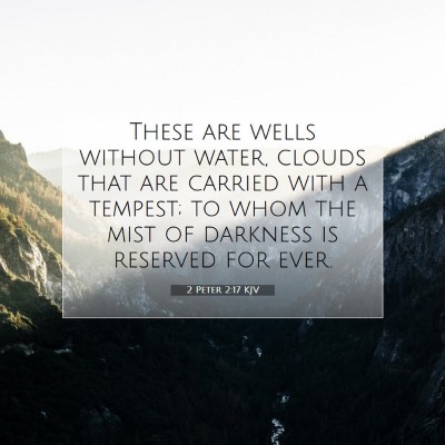 Picture 07 - 2 Peter 2:17 KJV - These are wells without water, clouds that are - Bible Verse Picture