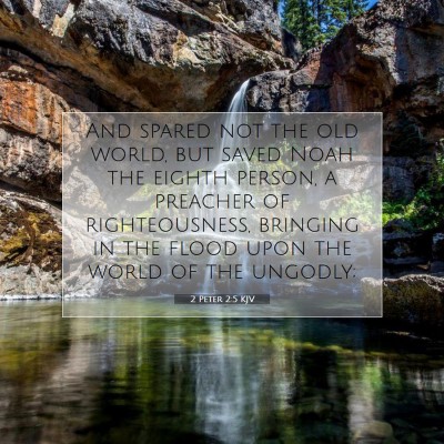 Picture 07 - 2 Peter 2:5 KJV - And spared not the old world, but saved Noah the - Bible Verse Picture