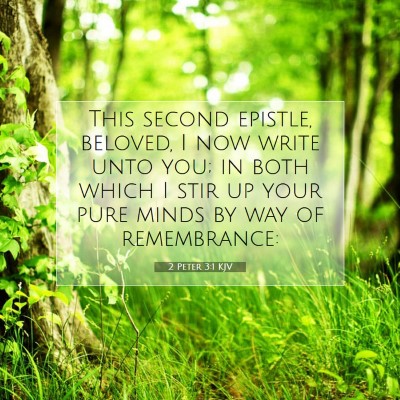 Picture 07 - 2 Peter 3:1 KJV - This second epistle, beloved, I now write unto - Bible Verse Picture