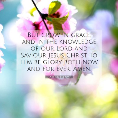 Picture 07 - 2 Peter 3:18 KJV - But grow in grace, and in the knowledge of our - Bible Verse Picture