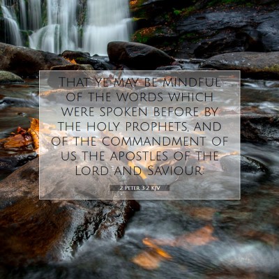 Picture 07 - 2 Peter 3:2 KJV - That ye may be mindful of the words which were - Bible Verse Picture