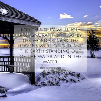 Picture 07 - 2 Peter 3:5 KJV - For this they willingly are ignorant of, that by - Bible Verse Picture