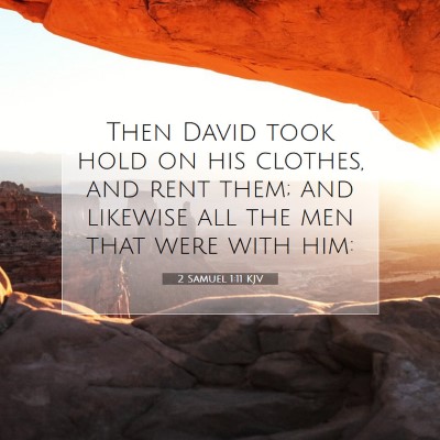 Picture 07 - 2 Samuel 1:11 KJV - Then David took hold on his clothes, and rent - Bible Verse Picture