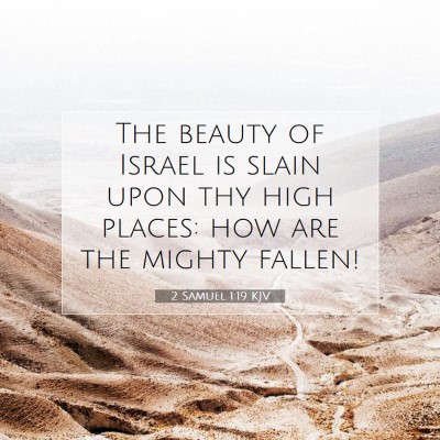 Picture 07 - 2 Samuel 1:19 KJV - The beauty of Israel is slain upon thy high - Bible Verse Picture