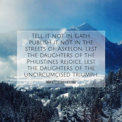 Picture 07 - 2 Samuel 1:20 KJV - Tell it not in Gath, publish it not in the - Bible Verse Picture