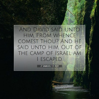Picture 07 - 2 Samuel 1:3 KJV - And David said unto him, From whence comest thou? - Bible Verse Picture