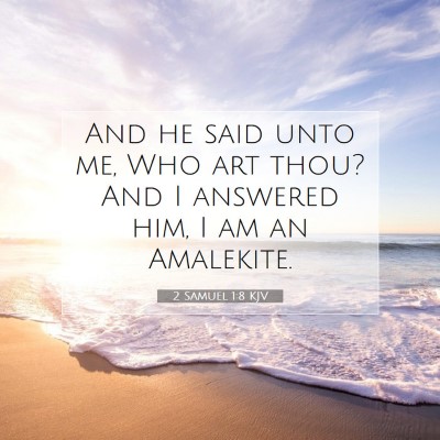 Picture 07 - 2 Samuel 1:8 KJV - And he said unto me, Who art thou? And I answered - Bible Verse Picture
