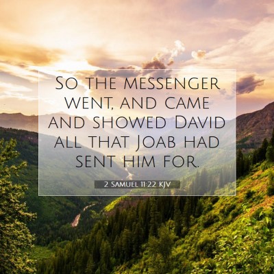 Picture 07 - 2 Samuel 11:22 KJV - So the messenger went, and came and showed David - Bible Verse Picture