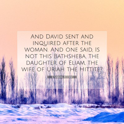 Picture 07 - 2 Samuel 11:3 KJV - And David sent and inquired after the woman. And - Bible Verse Picture