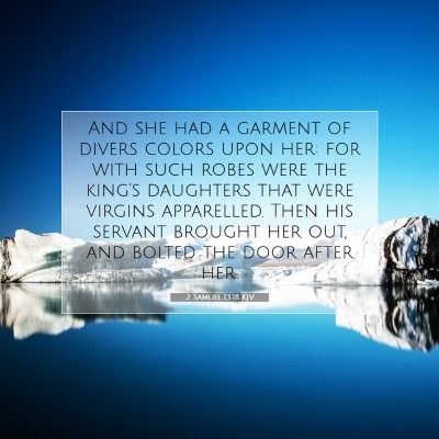Picture 07 - 2 Samuel 13:18 KJV - And she had a garment of divers colors upon her: - Bible Verse Picture